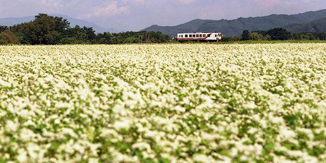 四季折々の田園風景をゆく
アイデア満載のローカル列車
