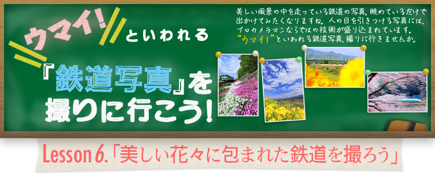 ウマイ！ といわれる 「鉄道写真」を撮りに行こう！｜Lesson6.「美しい花々に包まれた鉄道を撮ろう」