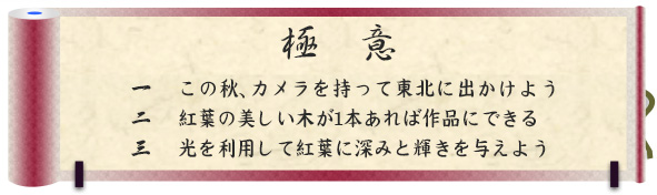 極意｜一　この秋、カメラを持って東北に出かけよう｜二　紅葉の美しい木が1本あれば作品にできる｜三　光を利用して紅葉に深みと輝きを与えよう