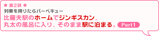 ＊第2鉄＊ 列車を降りたらバーベキュー『比羅夫駅のホームでジンギスカン、丸太の風呂に入り、そのまま駅に泊まる。Part1』