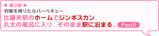 ＊第3鉄＊ 列車を降りたらバーベキュー『比羅夫駅のホームでジンギスカン、丸太の風呂に入り、そのまま駅に泊まる。Part2』