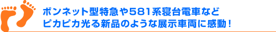 ボンネット型特急や581系寝台電車などピカピカ光る新品のような展示車両に感動！