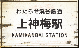 わたらせ渓谷鐵道　上神梅駅