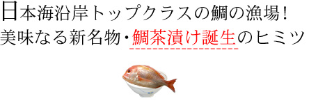日本海沿岸トップクラスの鯛の漁場！ 美味なる新名物・鯛茶漬け誕生のヒミツ