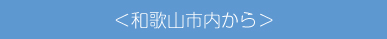 ＜和歌山市内から＞