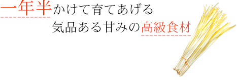 一年半かけて育てあげる気品ある甘みの高級食材