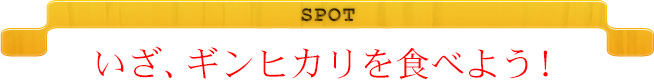 SPOT　いざ、ギンヒカリを食べよう！