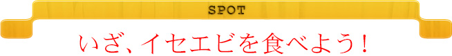 SPOT　いざ、イセエビを食べよう！