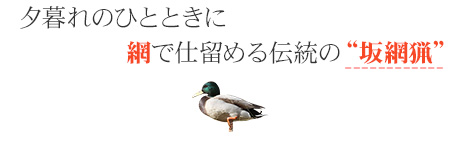 夕暮れのひとときに網で仕留める伝統の“坂網猟”