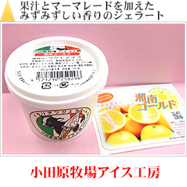 果汁とマーマレードを加えたみずみずしい香りのジェラート｜小田原牧場アイス工房