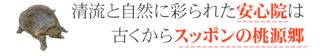 清流と自然に彩られた安心院は古くからスッポンの桃源郷