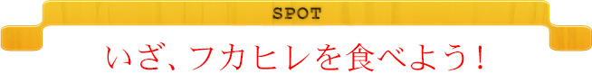 SPOT いざ、フカヒレを食べよう