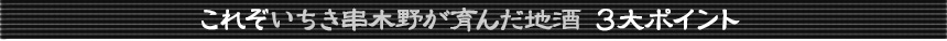 これぞいちき串木野が育んだ地酒　3大ポイント