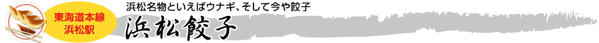 [東海道本線 浜松駅]浜松名物といえばウナギ、そして今や餃子「浜松餃子」