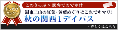 トレたびセレクト このきっぷ×駅弁でおでかけ「湖東三山の紅葉・黄葉めぐりはこれでキマリ! 秋の関西1デイパス」