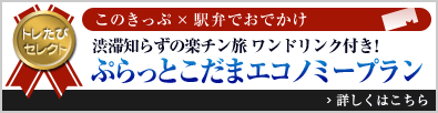 トレたびセレクト このきっぷ×駅弁でおでかけ「渋滞知らずの楽チン旅 ワンドリンク付き! ぷらっとこだまエコノミープラン」