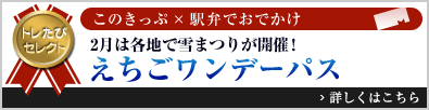 トレたびセレクト このきっぷ×駅弁でおでかけ「2月は各地で雪まつりが開催！ えちごワンデーパス」