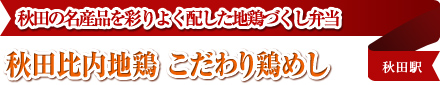 秋田比内地鶏 こだわり鶏めし 秋田の名産品を彩りよく配した地鶏づくし弁当 秋田駅