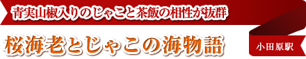 桜海老とじゃこの海物語　青実山椒入りのじゃこと茶飯の相性が抜群　小田原駅