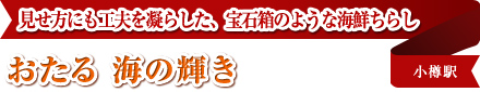 見せ方にも工夫を凝らした、宝石箱のような海鮮ちらし おたる 海の輝き 小樽駅