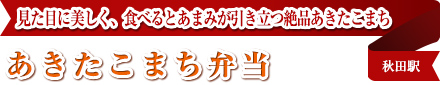 見た目に美しく、食べるとあまみが引き立つ絶品あきたこまち
あきたこまち弁当
秋田駅