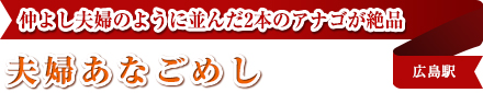 仲よし夫婦のように並んだ2本のアナゴが絶品|夫婦あなごめし|広島駅