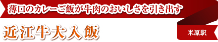 薄口のカレーご飯が牛肉のおいしさを引き出す｜近江牛大入飯｜米原駅