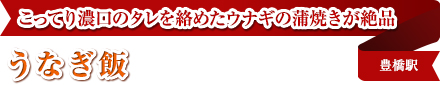 こってり濃口のタレを絡めたウナギの蒲焼きが絶品｜うなぎ飯｜豊橋駅