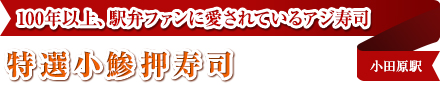 100年以上、駅弁ファンに愛されているアジ寿司｜特選小鯵押寿司｜小田原駅