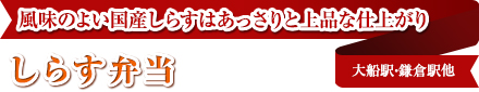 風味のよい国産しらすはあっさりと上品な仕上がり｜しらす弁当｜大船駅・鎌倉駅他