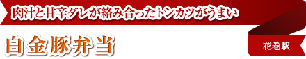 肉汁と甘辛ダレが絡み合ったトンカツがうまい｜白金豚弁当｜花巻駅