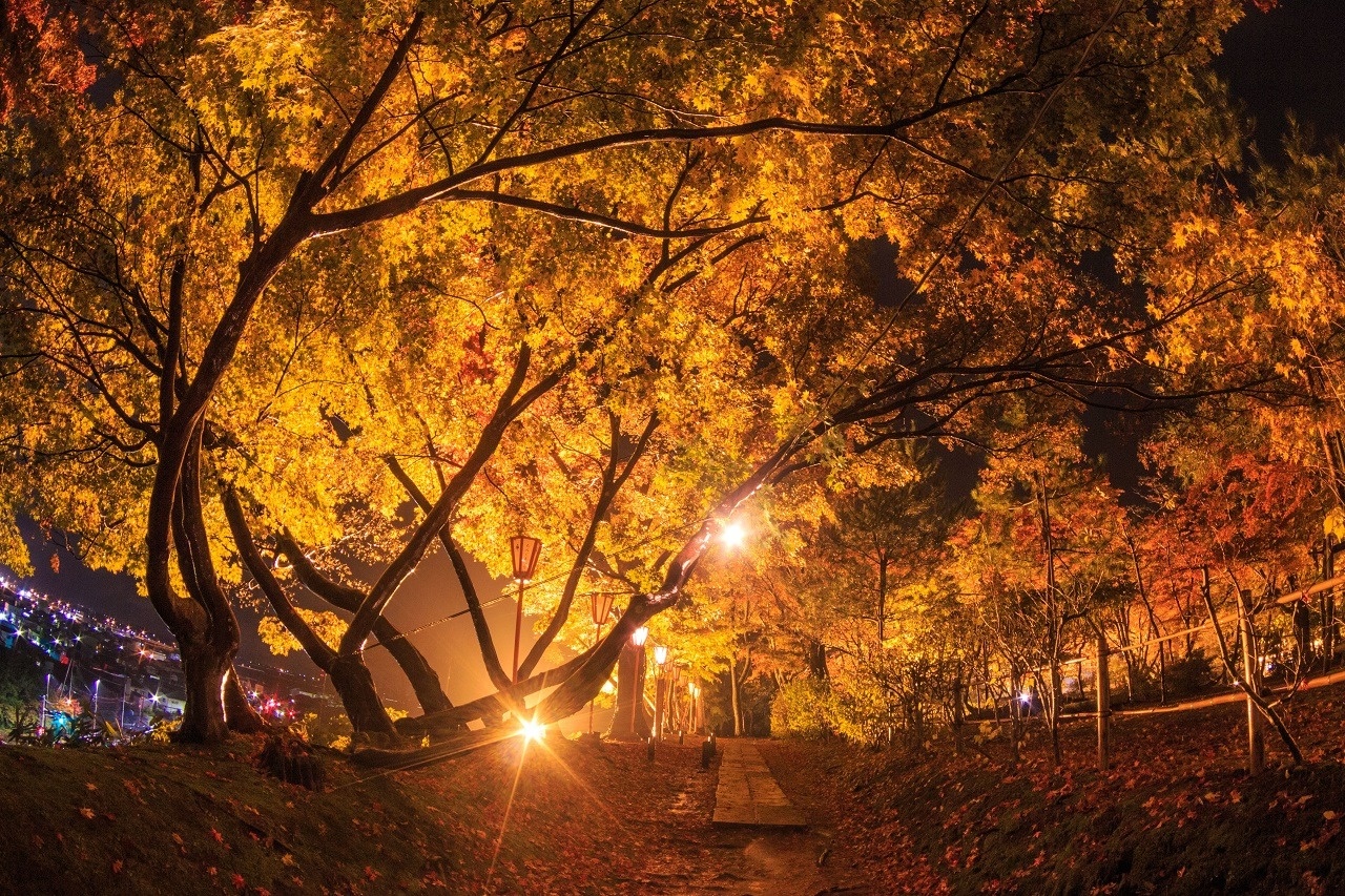 Jrフルムーン夫婦グリーンパスで紅葉の新潟 庄内 福島を訪ね伝統の技と美食を満喫 トレたび 鉄道 旅行情報サイト