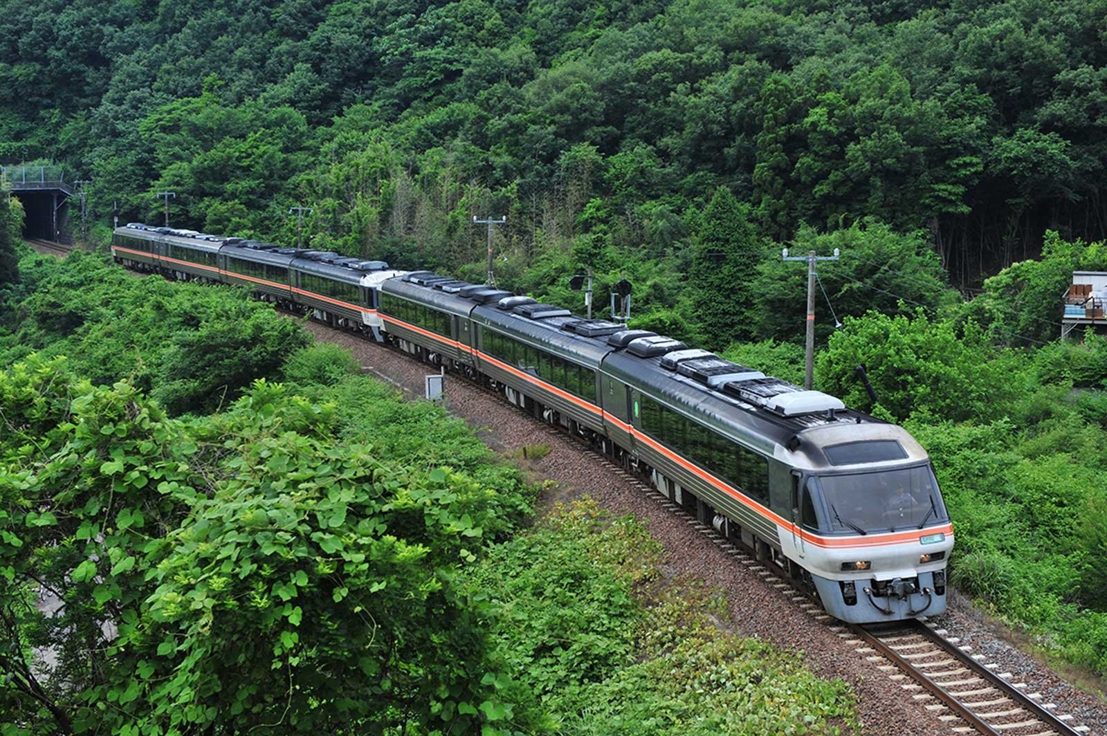 岐阜に旅行に行くなら（ワイドビュー）ひだがおすすめ