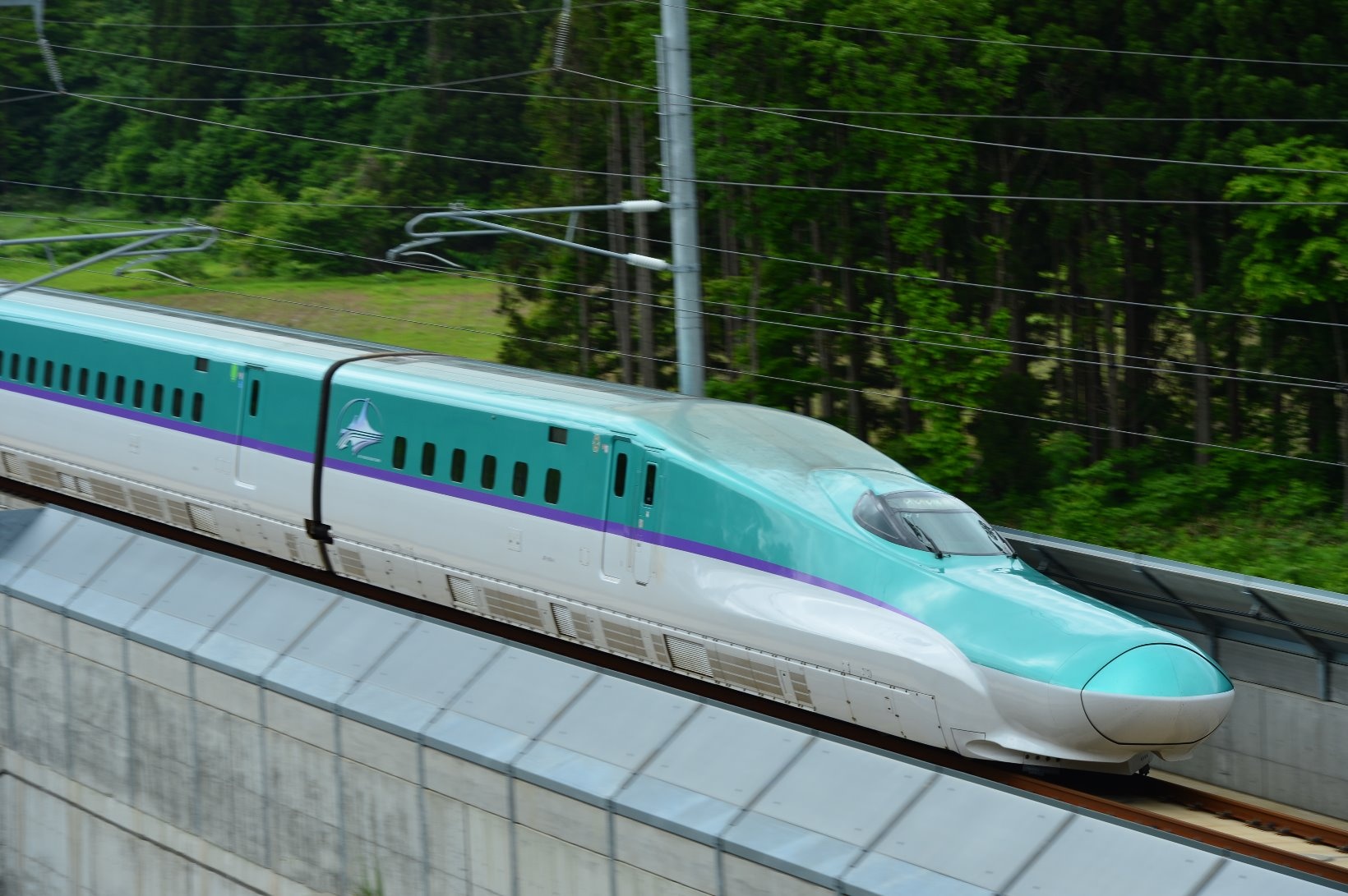 フルムーン夫婦グリーンパス2020で行くおトクな旅のモデルコース東北・北海道新幹線はやぶさ（H5系）
