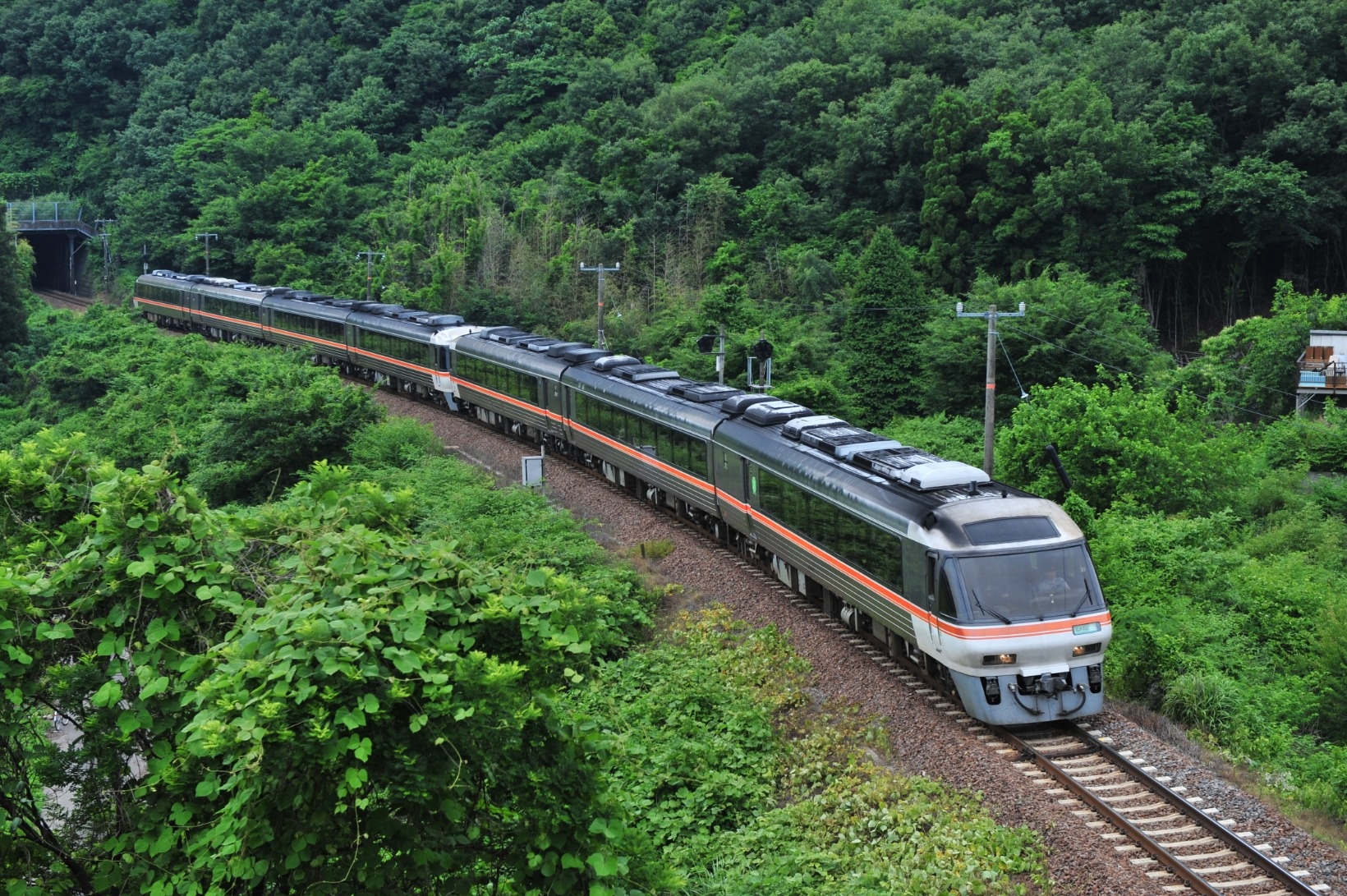 飛騨路フリーきっぷおススメ列車JR東海ひだ