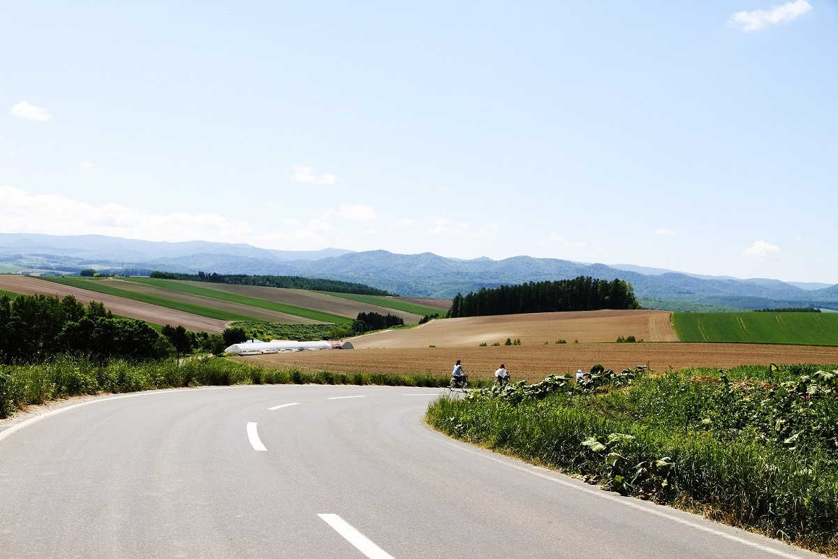 北海道美瑛のパッチワークの丘