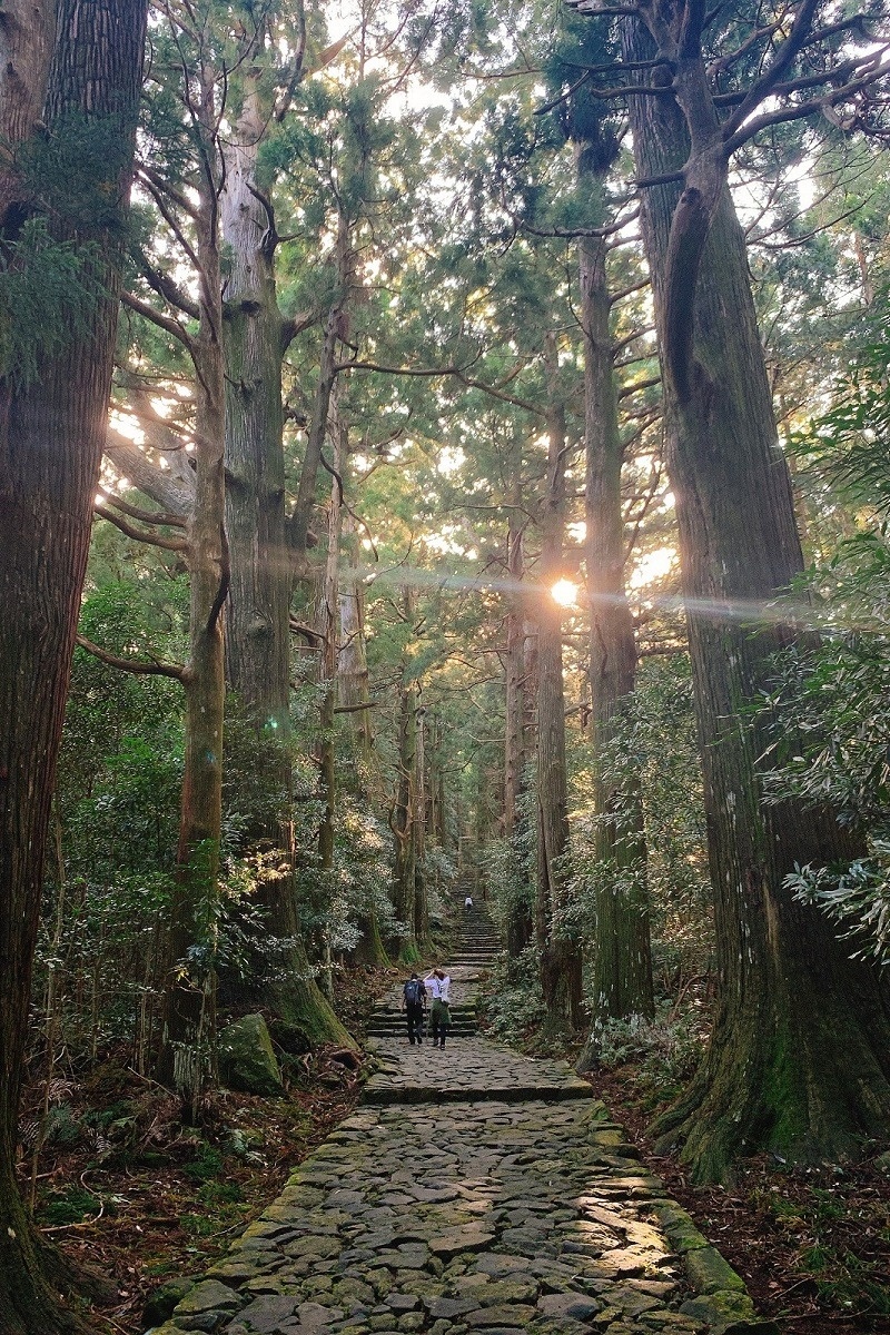 熊野古道（大門坂～那智の滝）