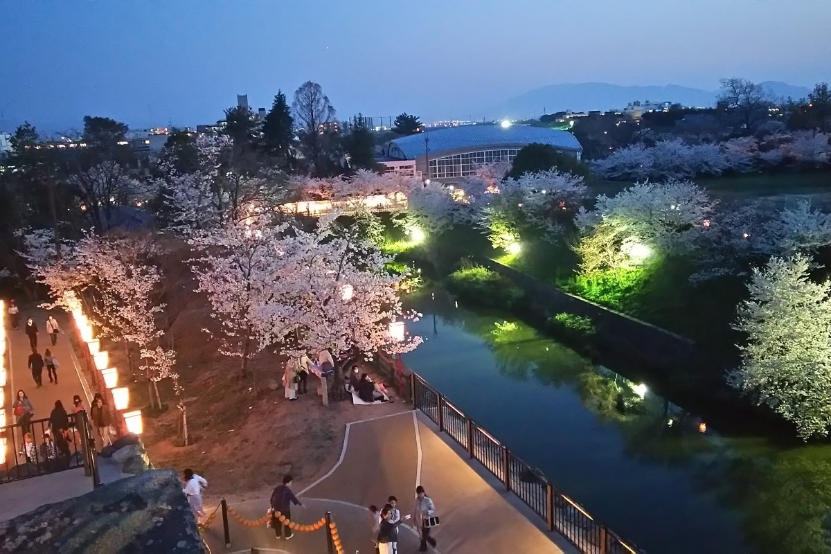 青春18きっぷで行く日帰り旅モデルコース大和郡山お城まつり　夜桜ライトアップ