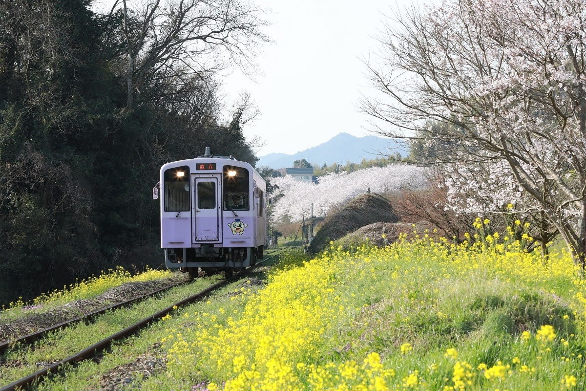 旅名人の九州満喫きっぷで行くモデルコース平成筑豊鉄道