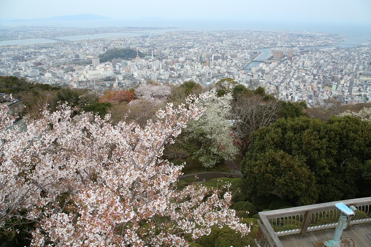 四国の眉山公園