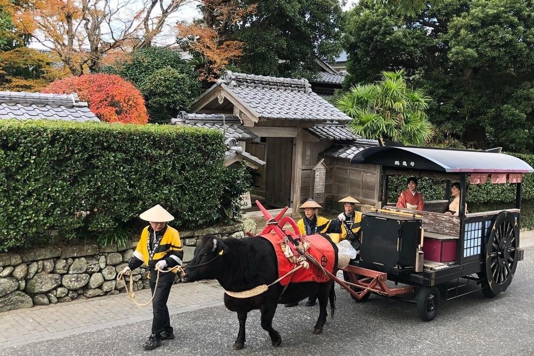 いずみ観光牛車