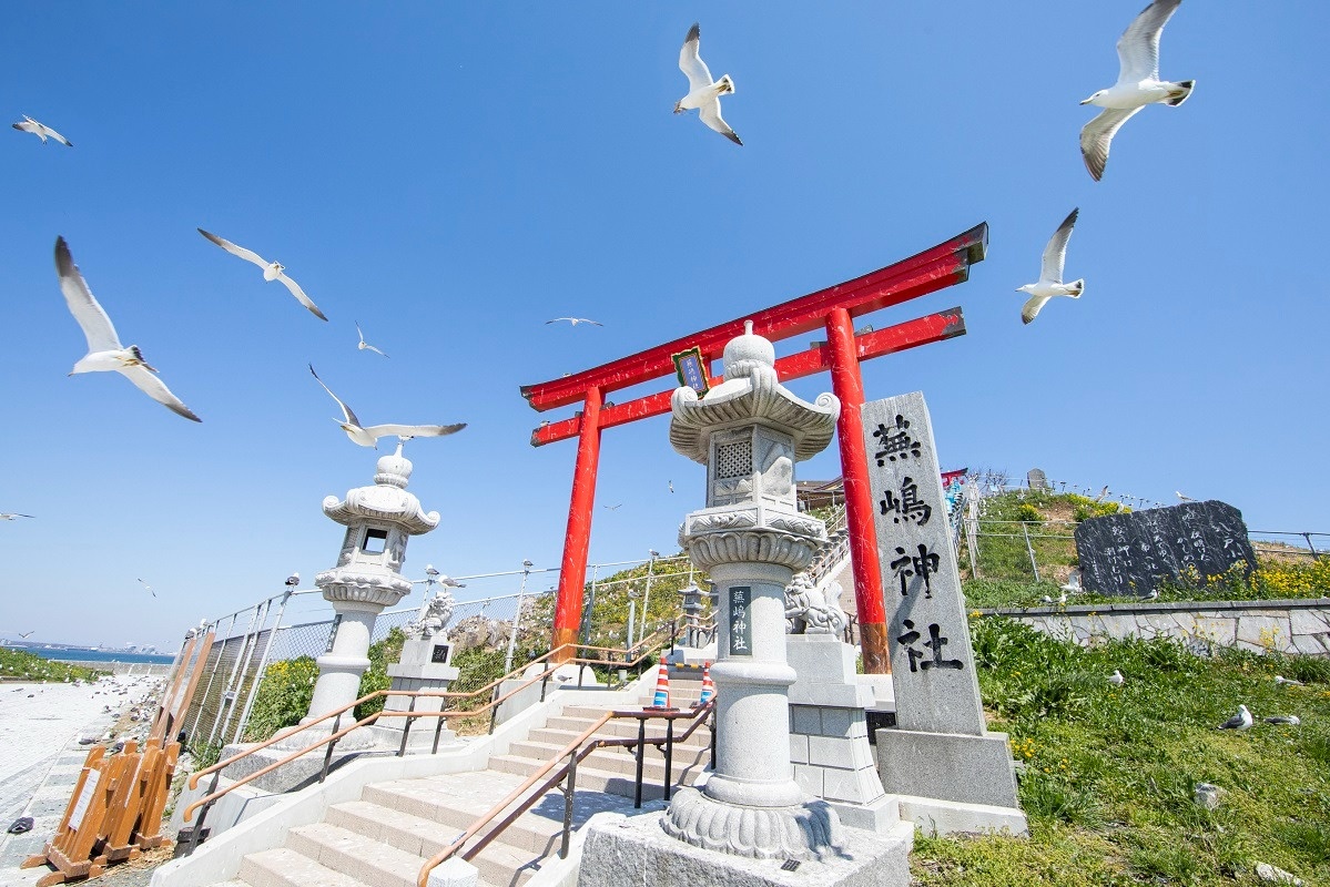 ウミネコの楽園、蕪島の蕪嶋神社