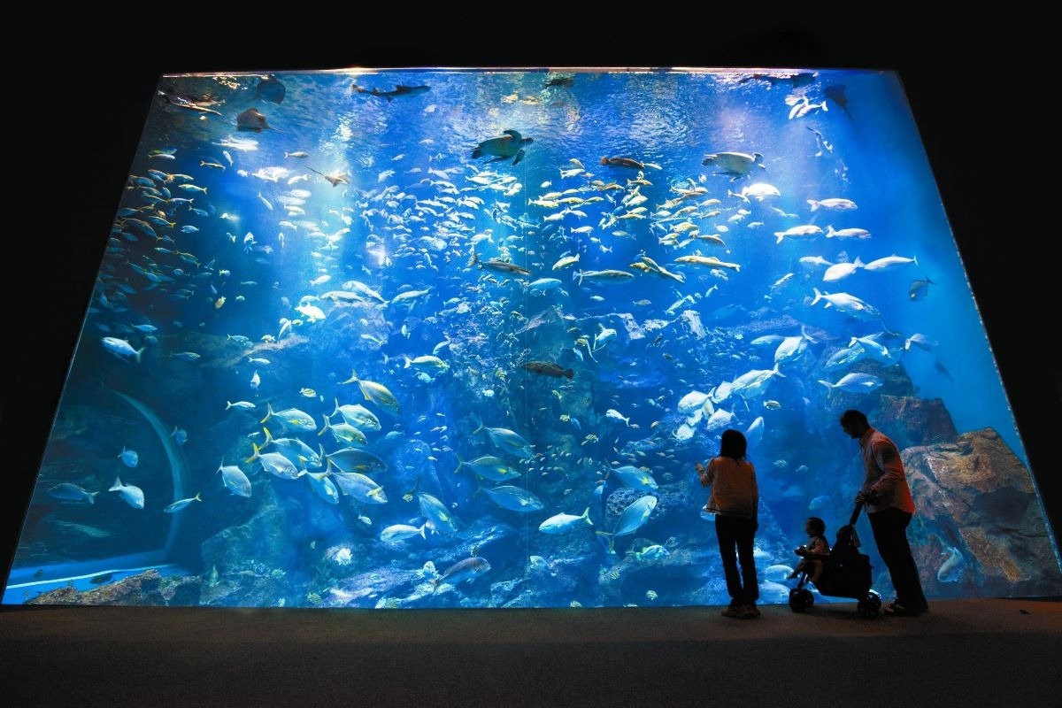 男鹿水族館GAO