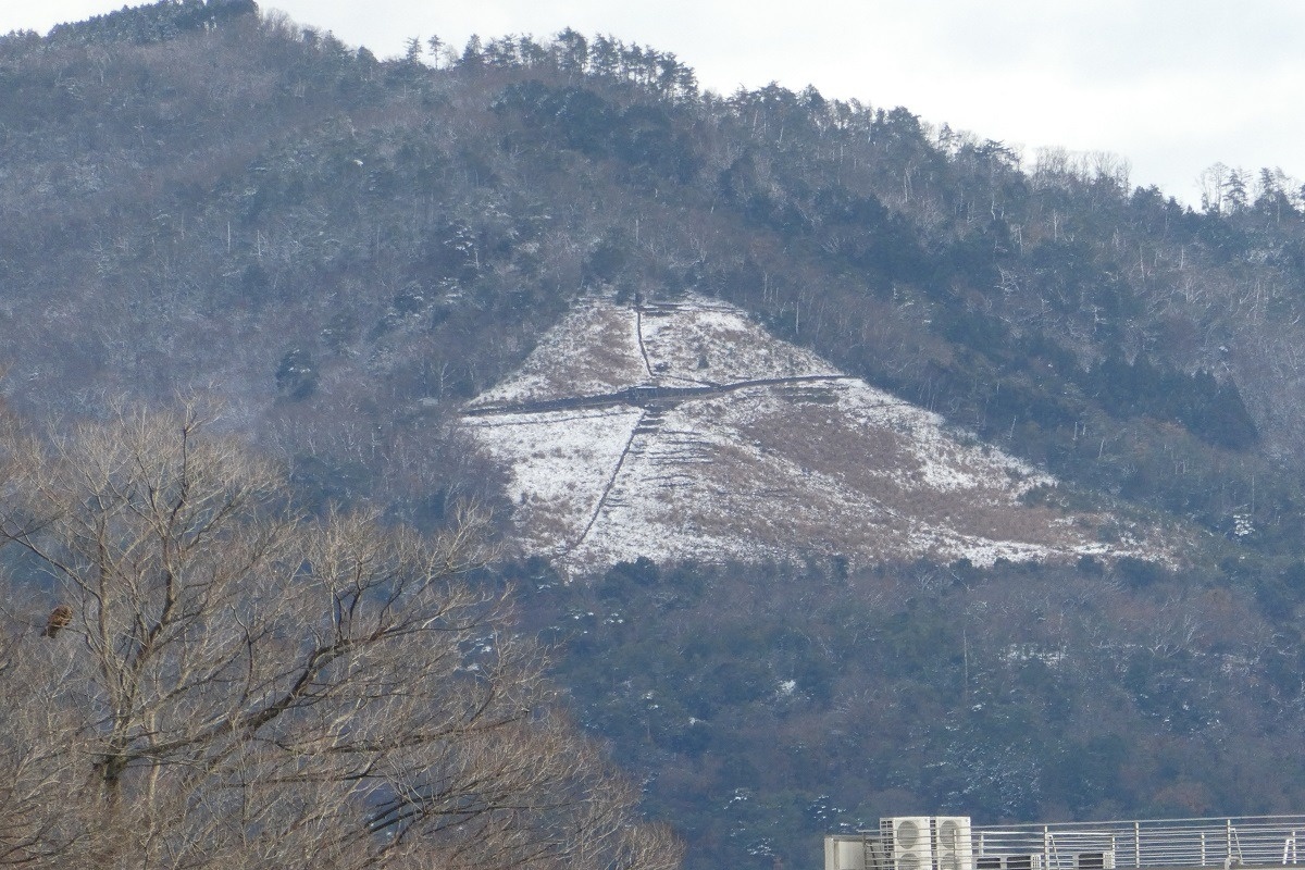 夏とはまた違った光景