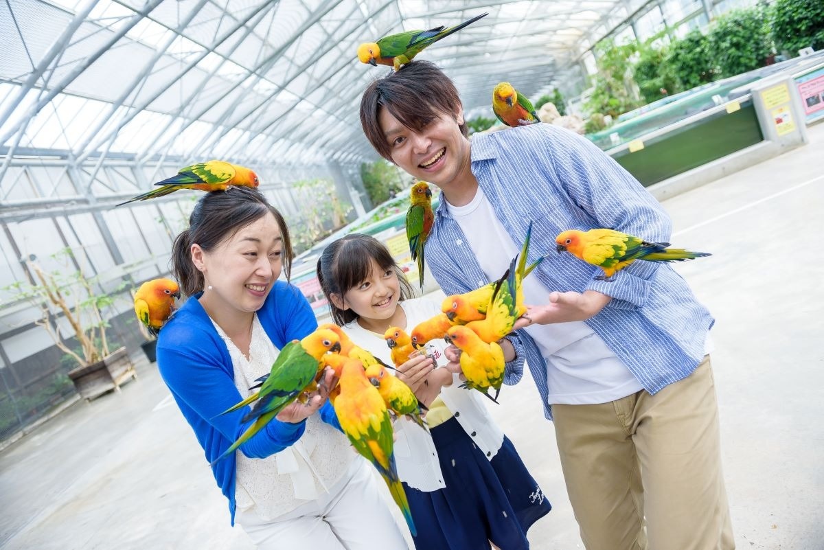 掛川花鳥園