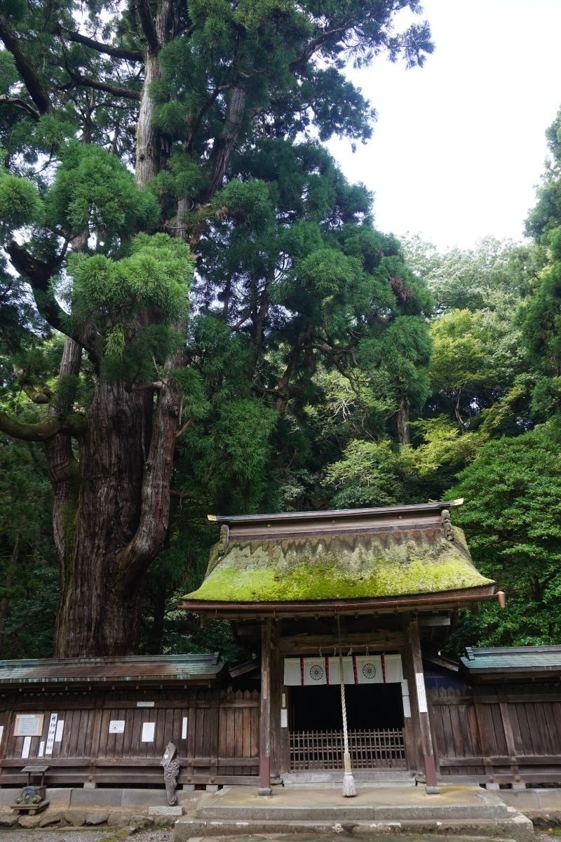 若狭姫神社 