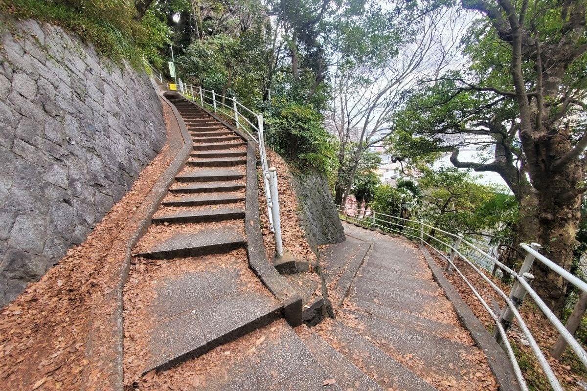 根岸森林公園へ向かうつづら折りの道