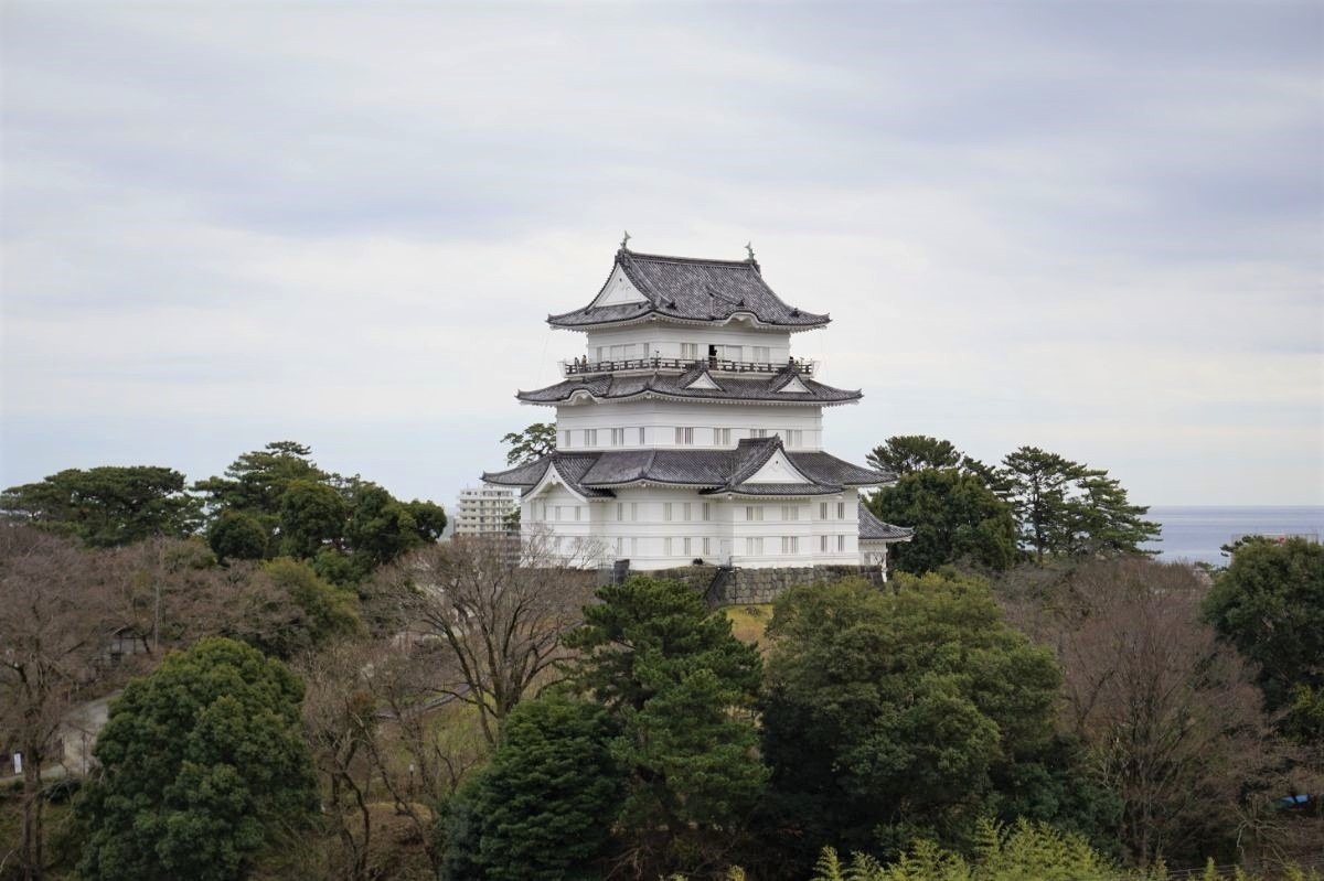 八幡山古郭東曲輪（はちまんやまこかくひがしくるわ）から見る小田原城の天守