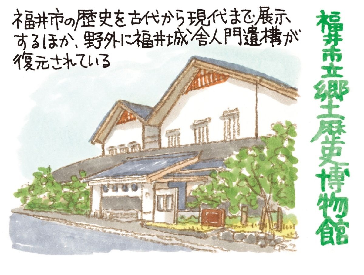 福井市郷土歴史博物館　イラスト