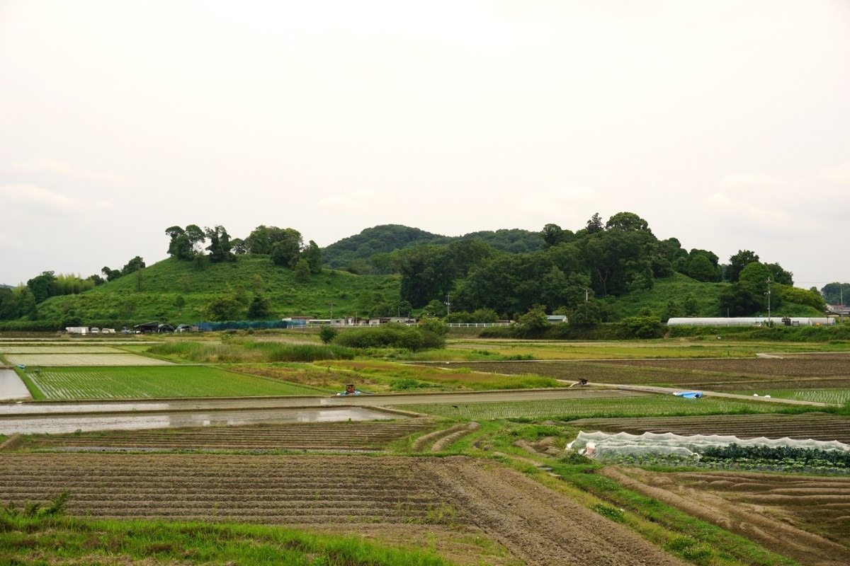 造山古墳の全景